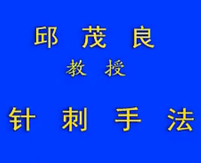 邱茂良针刺手法教学视频