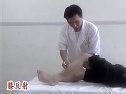 腰椎间盘突出的手法治疗 中医骨伤教学片