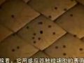 人体的故事-营养与免疫系统