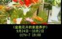 川崎病的健康教育和家庭护理