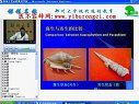 真菌性皮肤病的治疗方法 郑州大学远程教育