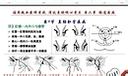 直肠与肛管疾病的诊断治疗 中山大学附属医院