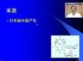 药物化学：大环内酯类抗生素的临床应用