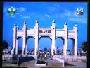 登革热的诊断和治疗 中山医院专家讲课