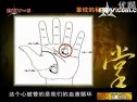 《掌纹的秘密》看掌纹吃东西