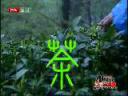 新茶基本饮茶常识详解教学视频