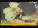 经典素食菜谱厨艺秘籍教学视频