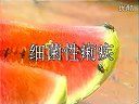 细菌性痢疾的防治培训课程
