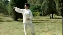 陈式心意混元24式太极拳（冯秀芳）