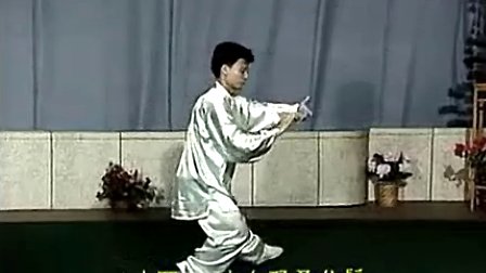杨氏太极拳40式带口令字幕 陈思坦背向示范（高清）