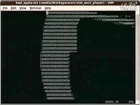 Vim也是个播放器