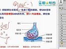 抗癫痫及抗惊厥药 执业药师考试辅导