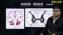 神经系统题目分析 临床执业医师资格考试