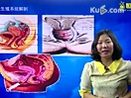 女性生殖系统考题分析 新大纲执业医师考试