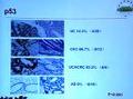 炎症性肠病相关性结肠癌癌变机制和应用进展