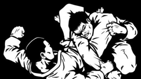 巴西柔术基本技术中文教程