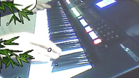 YAMAHA.PSR S650 电子琴演奏专辑