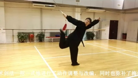 昆仑功夫教学套路