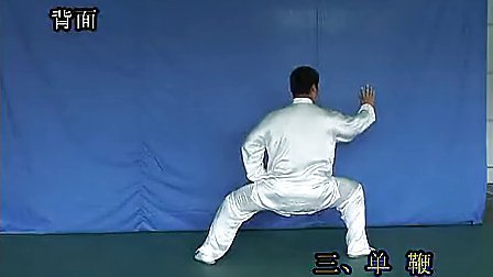 陈式太极拳小架一路64式教学