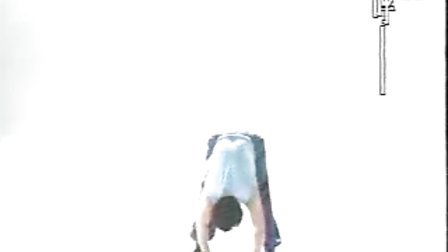 杨式太极（内功秘法）