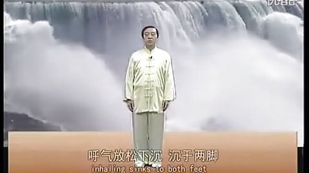 陈式太极拳老架一路七十四式-中华武藏版