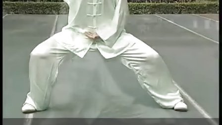 陈式太极拳基本动作规范讲解演练