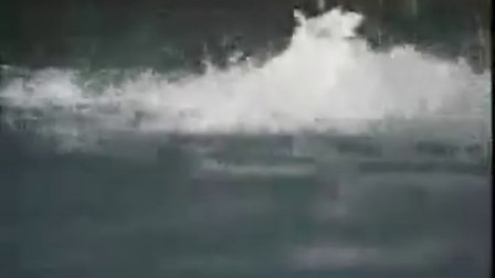 游泳教练之蝶泳和自由泳教学
