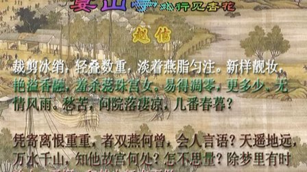 宋词三百首（名师讲解）