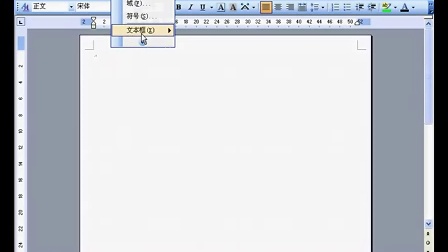 IT技能：Word 2003 高级技巧视频教程