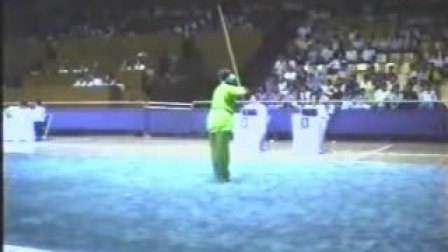 1996年全国武术套路锦标赛（女子赛区）