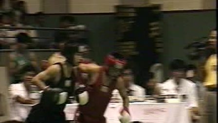 1995年中华武术散打擂台争霸赛