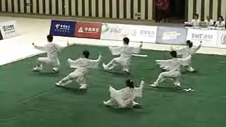 2010年全国武术太极拳锦标赛（集体项目）