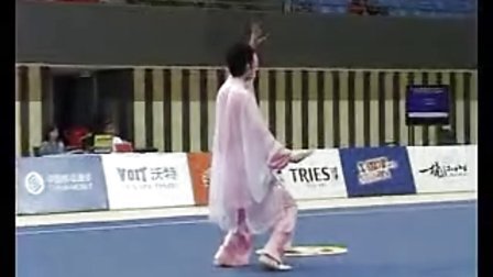 2010年全国武术太极拳锦标赛（传统套路）