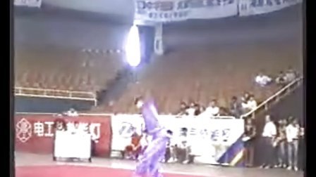 1995年全国武术套路锦标赛（团体赛）二