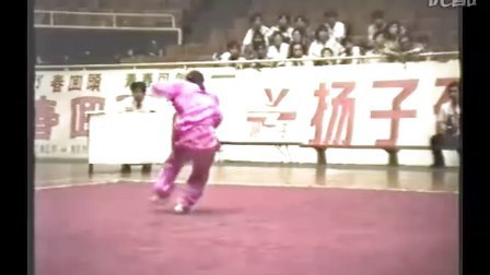1995年全国武术套路锦标赛（传统项目）一