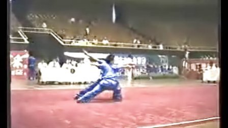 1995年全国武术套路锦标赛（男子对练）