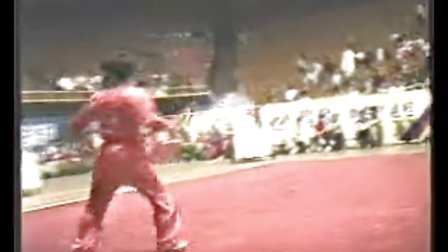 1995年全国武术套路锦标赛（传统项目）二
