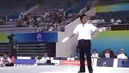 2010年首届世界武搏会武术散打比赛