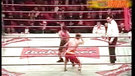 中国功夫VS美国职业拳击争霸赛（1999年）