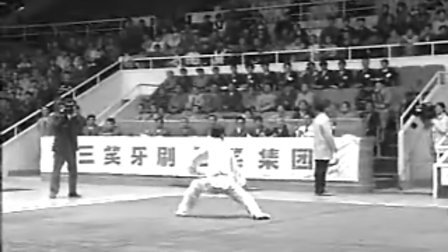 1995年全国传统武术观摩交流大赛