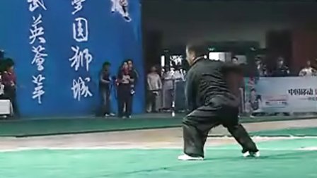 第八届中国沧州国际武术节（精品拳种）