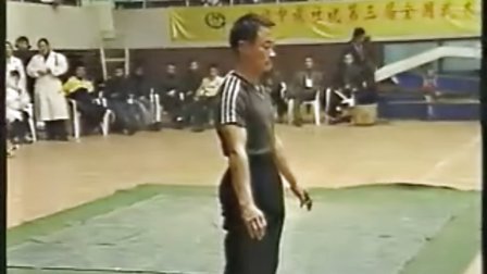 武功绝技集锦