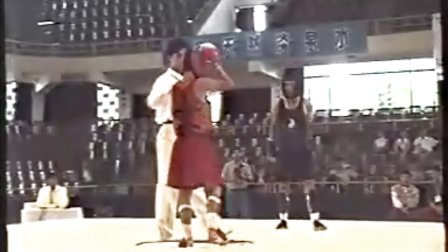 1994年全国武术散打锦标赛个人赛