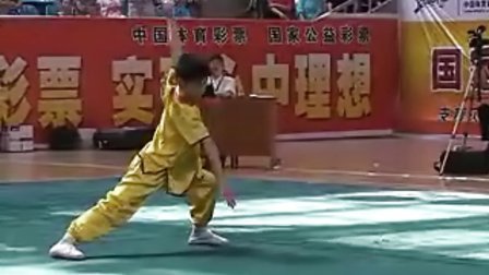 2010年全国农民武术赛暨武乡传统拳传承人演武大会（男子项目）拳术类