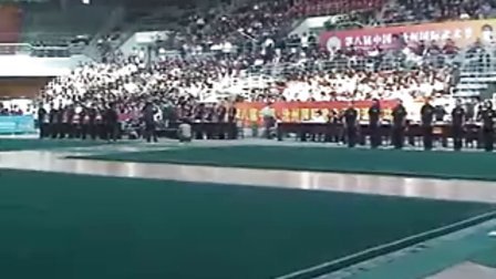 第八届中国沧州国际武术节（国内竞赛）