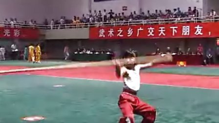 2011年全国传统武术比赛（女子拳械）