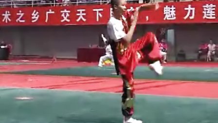 2011年全国农民武术比赛（男子拳术）