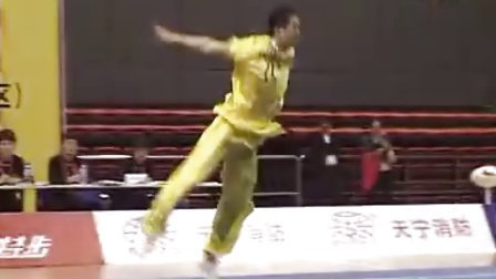2011年全国武术套路锦标赛(男子)