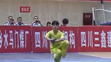 2011年全国武术套路锦标赛(女子)