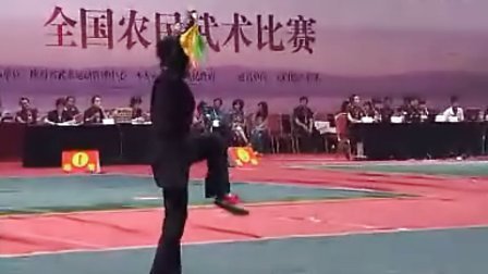 2011年全国农民武术比赛（女子拳械）